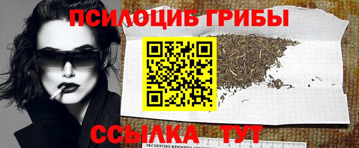 Галлюциногенные грибы Psilocybine cubensis  что такое   Абакан  Вход с VPN 